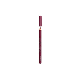 BOURJOIS Lèvres Contour Edition Plum It Up