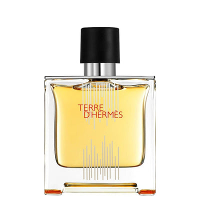Hermes Terre d'Hermes Flacon H 2021 for Men | Parfum