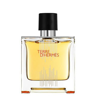 Hermes Terre d'Hermes Flacon H 2021 for Men | Parfum