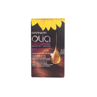 Garnier Olia Permanent Coloring 5.3 Cappuccino