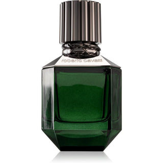 Roberto Cavalli Paradise Found for Men | EDP Tester