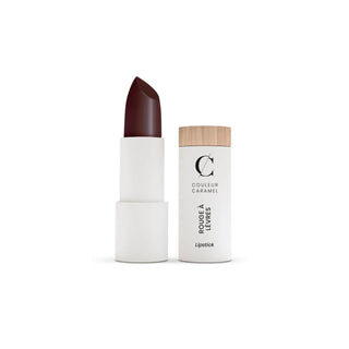 Couleur Caramel Rouge À Lèvres Lipstick