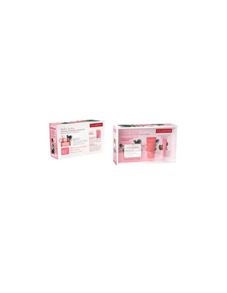 CLARINS Set Multi-Activa Day and Night Lip Care 21