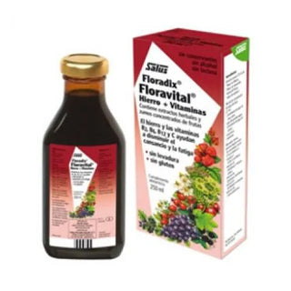 FLORAVITAL Salus Floradix Iron Liquid