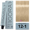 12-1 High Lift Blonde Cendré