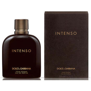 Dolce Gabbana Pour Homme Intenso | EDP
