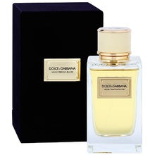 Dolce Gabbana Velvet Mimosa Bloom for Women | EDP