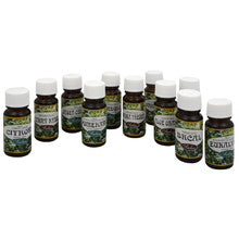 Saloos Fragrant Aroma Lamp Oil Peppermint