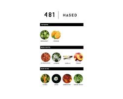 LABOR8 HASED 481 | EDP