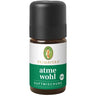 5ml