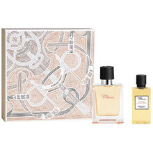Hermès Set Terre d'Hermès Shower Gel for Men | EDT