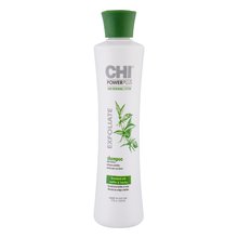 Farouk Systems CHI Power Plus Exfoliate Shampoo