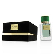 Dolce Gabbana Velvet Cypress | EDP