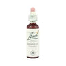 20ml