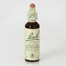 20ml