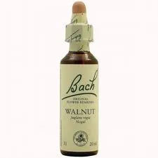 Bach Walnut 20ml
