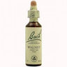 20ml