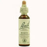 20ml