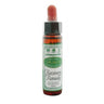 10ml