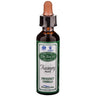 20ml
