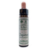 10ml