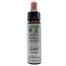 10ml