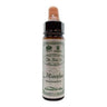 10ml