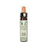10ml