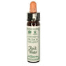 10ml