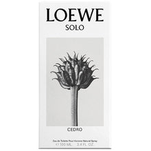 Loewe Solo Loewe Cedro for Men | EDT