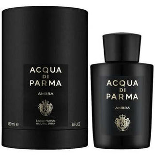 Acqua di Parma Ambra for Men | EDP