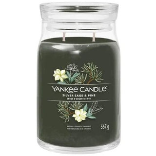 Yankee Candle Silver Sage & Pine Signature Candle