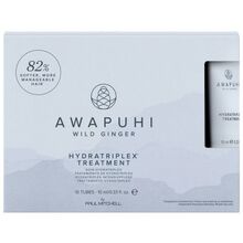 Paul Mitchell Awapuhi Wild Ginger Hydratriplex Treatment