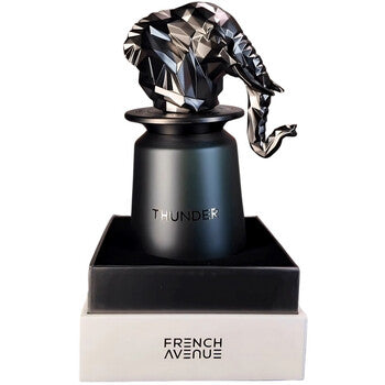 French Avenue Thunder for Men | EDP