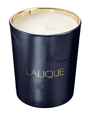 Lalique La Nuit Nairobi Kenya Plum Scented Candle