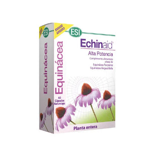 TREPATDIET Echinaid