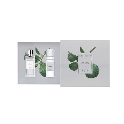 Angel Schlesser Instant Tempting Bergamont Watercolor | EDT