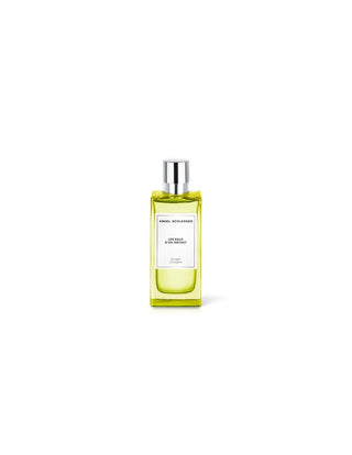 Angel Schlesser Les Eaux d'Un Instant Ginger Cologne | EDT