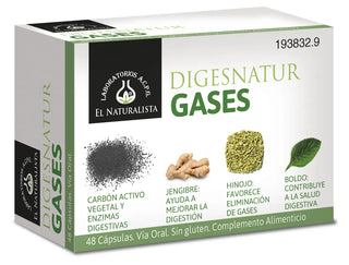 EL NATURAL Digesnatur Gases