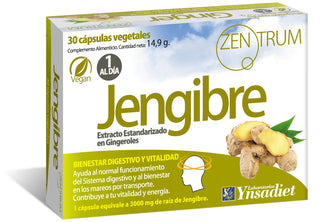 YNSADIET Zentrum Ginger 30 Capsules