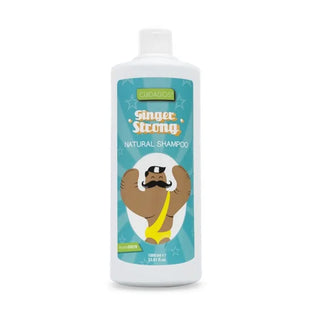VALQUER Ginger Ginger Strong Shampoo