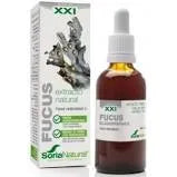 Soria Kelp Extract S XXI
