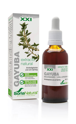Soria Uva Ursi Extract S XXI