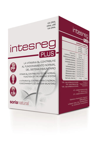 SORIA Intesreg Plus