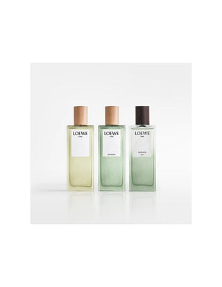 Loewe Aire Sutileza Elixir | EDP