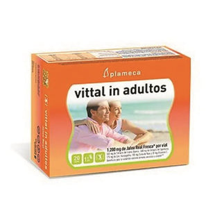 PLAMECA Vittal In Adults Renovated