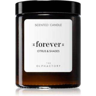 The Olphactory Forever Citrus & Shades Citrus Scented Candle