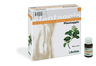 DHERBOS Plantaggio HB