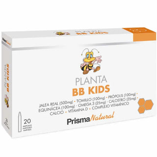 PRISMA NATURAL BB Kids