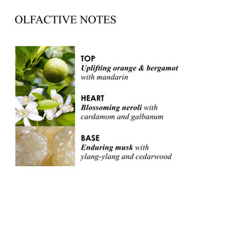 Molton Brown Orange & Bergamot Aroma Reeds Refill